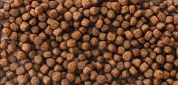 3mm fish feed